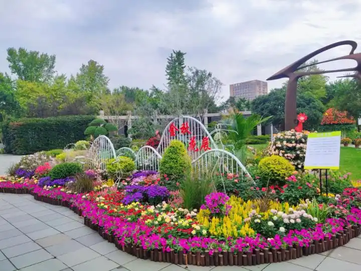 桂花被雨打风吹去那就看花中皇后吧杭州月季花展正式开幕