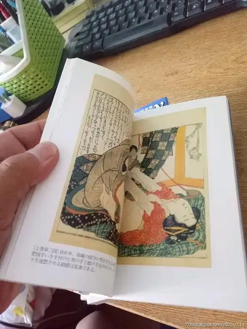 日本浮世绘秘画,春画12册