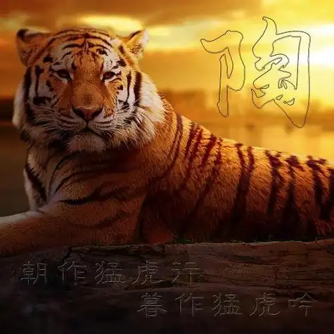 2022虎年霸气图片 虎图片微信头像-巨铭百科网