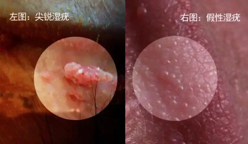 邬美俊医生的科普号