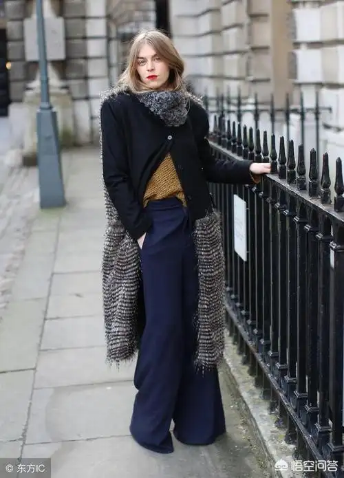 藏蓝色大衣搭配什么色裙子好看?_生活问答_坦华网