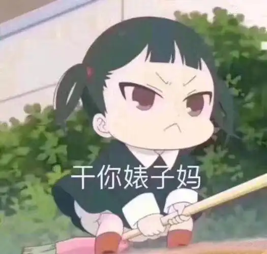 干你婊子妈_婊子表情