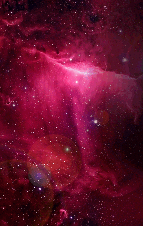 600_945竖版 竖屏gif 动态图 动图