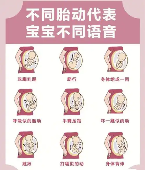 教你了解不同胎动代表不同语言