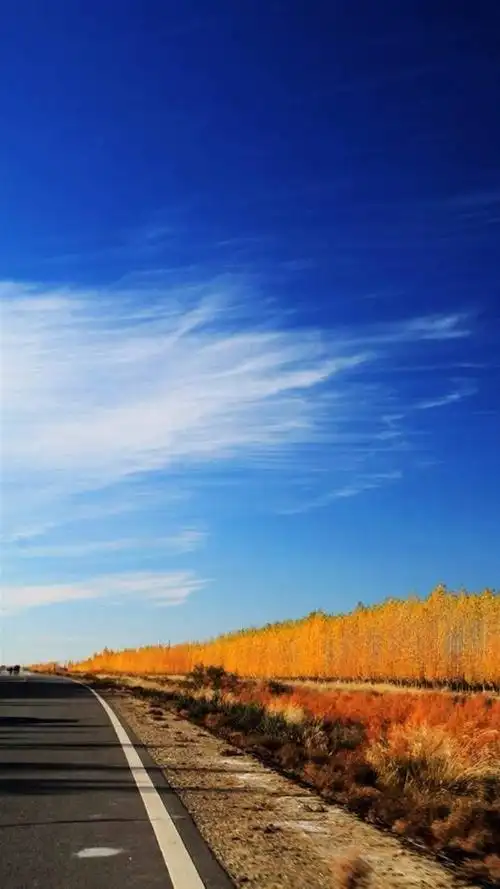 新疆美景入梦,高清图片,手机锁屏桌面-壁纸族