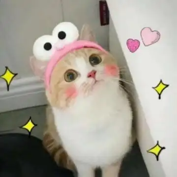 可爱猫咪头像高清萌萌哒 2020微信萌宠头像猫咪呆萌