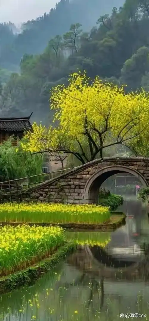 这一组小桥流水,山水人家图片,真是很漂亮的,看了山村美景太让人兴奋