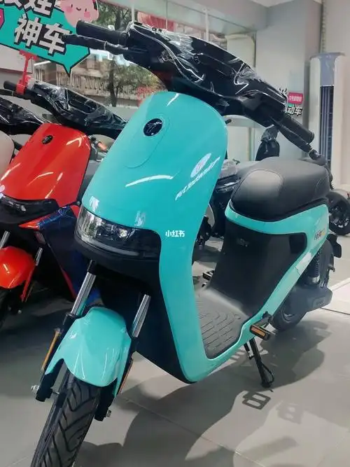 九号电动车  #九号真智能ninebotc9016寸大轮径,轻松行更远 前后碟刹