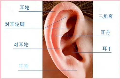 宝宝刚出生就发现耳廓畸形,耳模无创矫正的黄金时间别错过