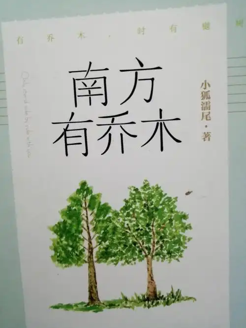 南方有乔木并肩而立携手共进