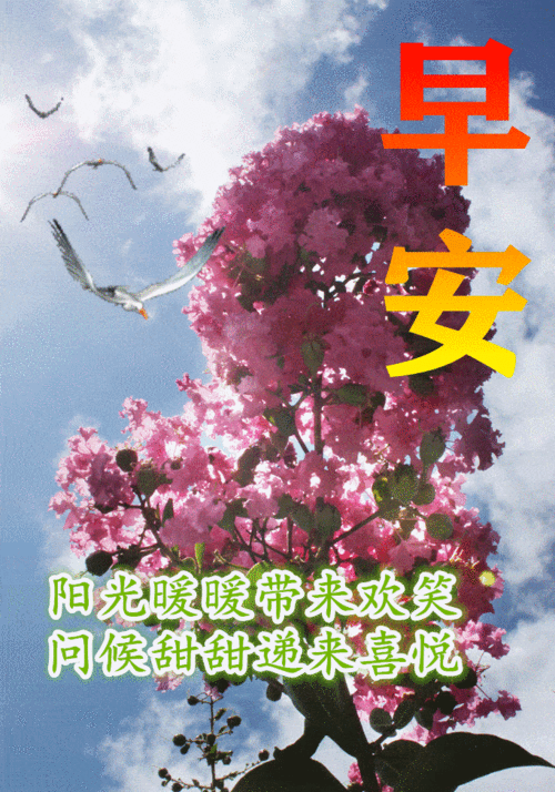 6月23日最漂亮早上好动态表情图片大全早晨好动图美图大全