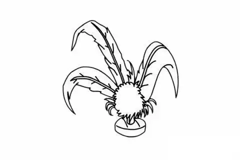 毽子简笔画简单画法及图片大全