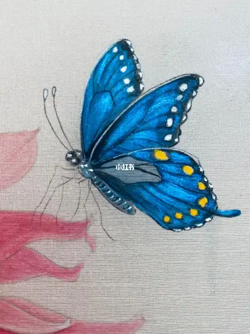 发光的蝴蝶03工笔画蝴蝶