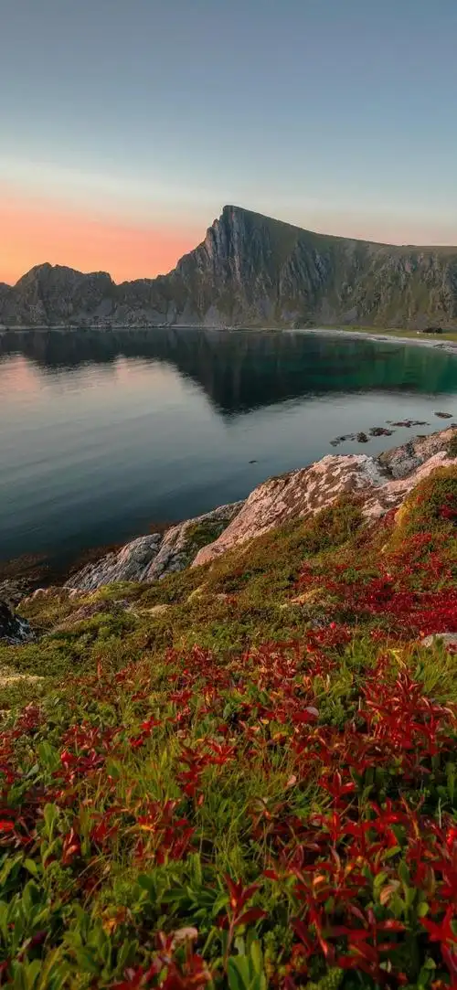 壁纸 风景 摄影 桌面 690_1495 竖版 竖屏 手机