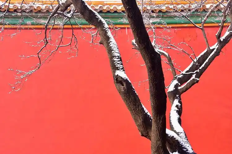 17.  红墙,绿瓦,白雪,人世间最美配色.