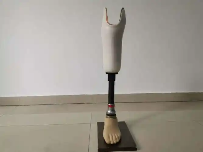 黄冈上肢义肢价钱,下肢假肢