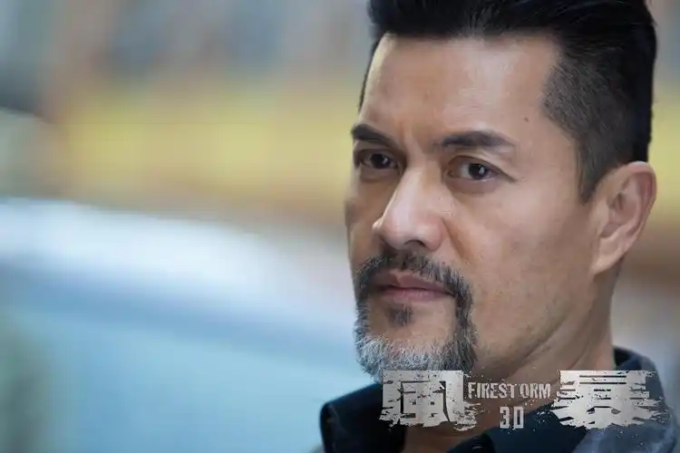 吕良伟风暴剧照海报图片