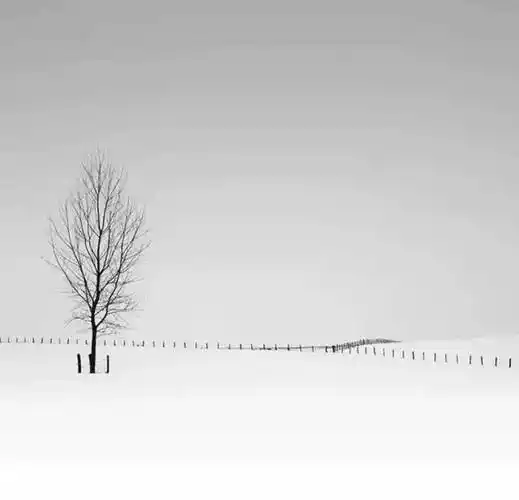 深度解析:黑白摄影的魅力