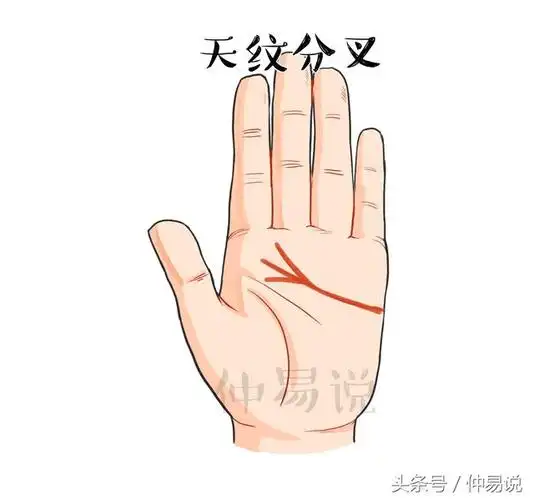 第三种感情线末端分别在中指之间和食指之间分叉这样的人年少时候事业