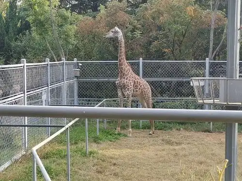 徐州动物园一游