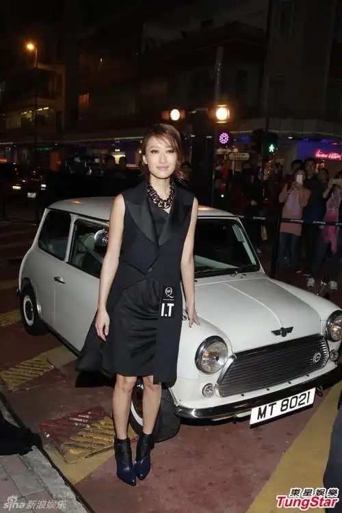 组图:谢婷婷黑色劲装出席时装品牌活动_高清图集_新浪网