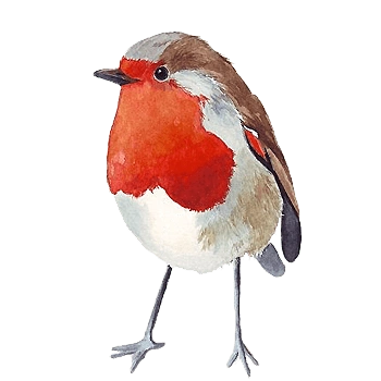 可爱卡通手绘小鸟