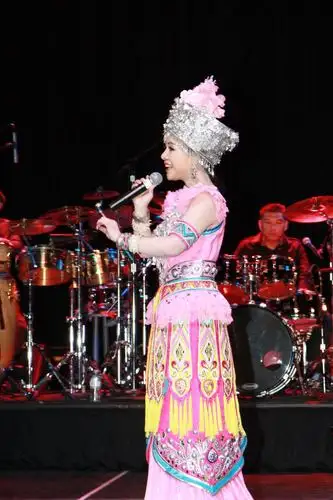 湖北歌手陈涓演唱会轰动美国内华达州