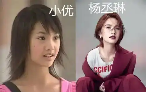 在《流星花园》饰演"小优",发博祝福母亲生日,杨丞琳真幸福_来源_百科