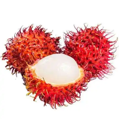 红毛丹毛热带鲜果现摘毛丹新鲜水果