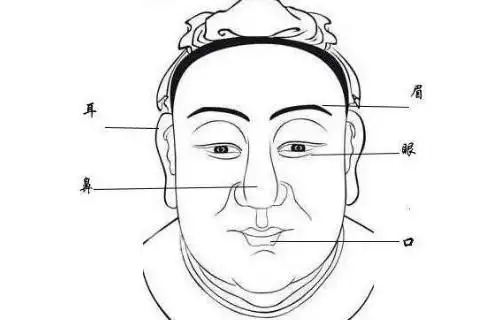 面相学胡子面相算命详解
