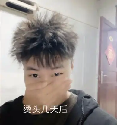 "对照网红发型烫完头,全家人都被逗乐了"
