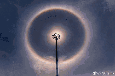 440_294gif 动态图 动图