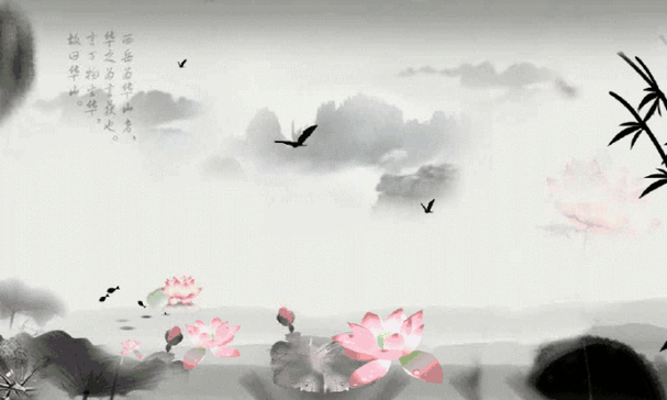 640_384gif 动态图 动图