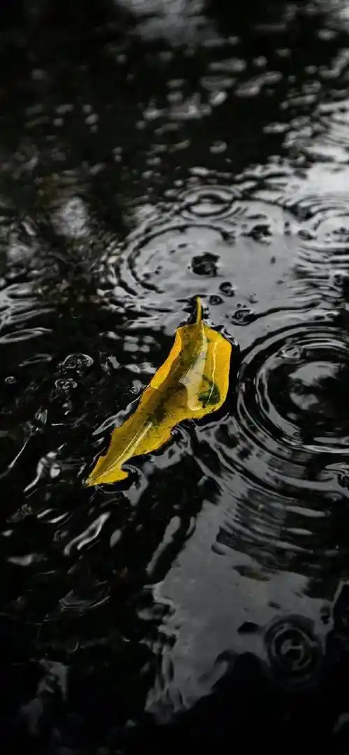 壁纸 | 高级黑色系 锁屏壁纸