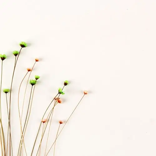 第2页_ppt背景_ppt_ppt模板_办公素材