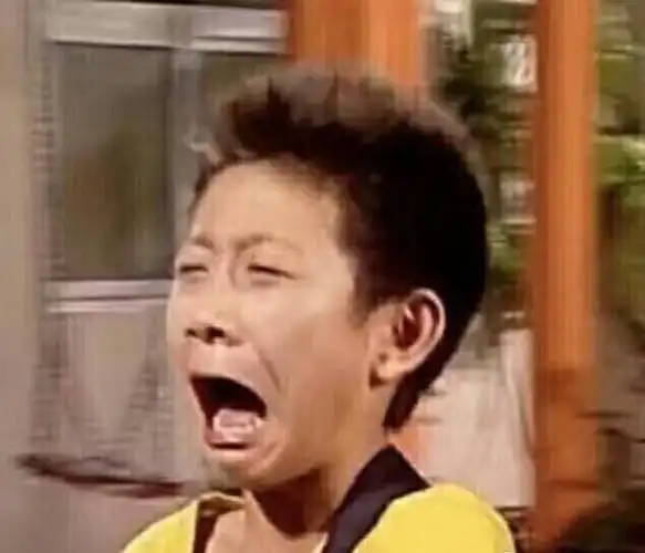 家有儿女 刘星 表情包