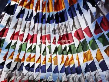 旅游博主   关注 g 私信 = 超过 2000 万人正在使用 她的主页 她的