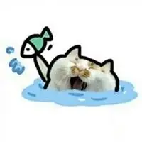 逗比对眼头像萌萌哒可爱猫咪头像蠢萌逗比的动物微信头像狗狗逗比头像