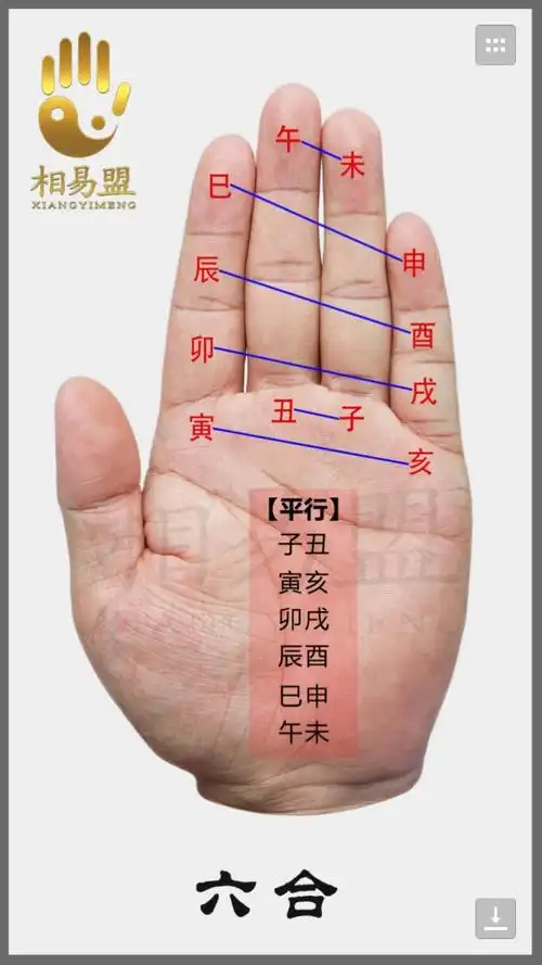 第一课:十二生肖密码