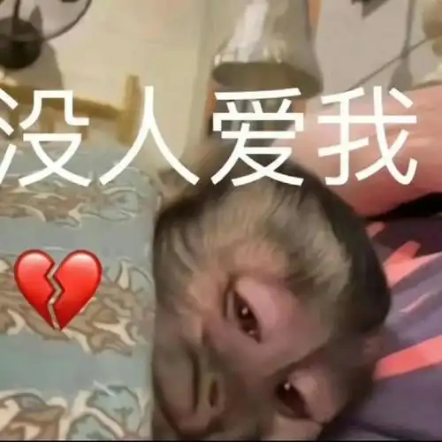 文案##小清新壁纸##小众图片##朋友圈背景图##表情包##沙雕表情包