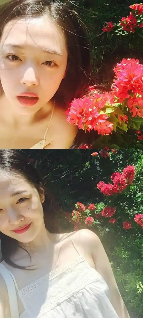 雪莉ins暴风更新小公主的最新生活照美丽图片