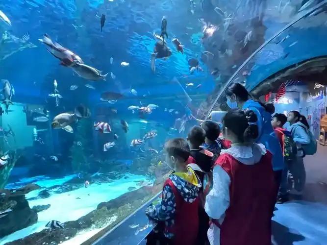 五一假期来海德堡兰州极地海洋世界开启不一young的小长假