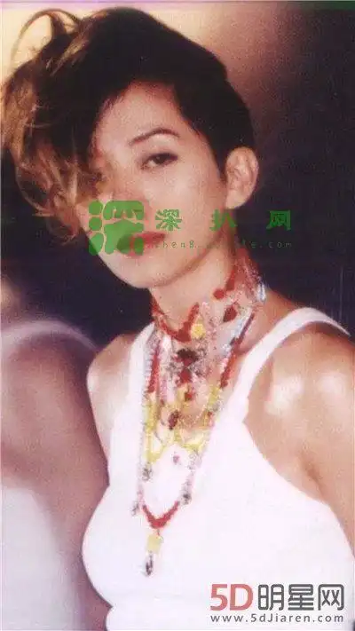 梅艳芳为什么宫颈没有治疗好王菲是密宗肉莲法器本文共3925字