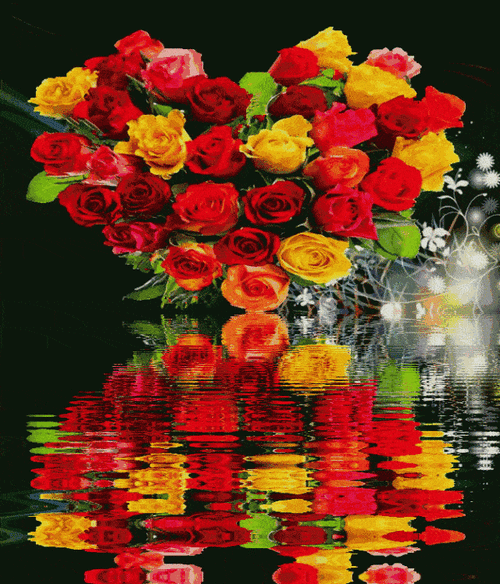 绝美动态玫瑰倒影花册太绝美了