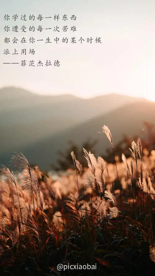 简约励志风景摄影图手机壁纸