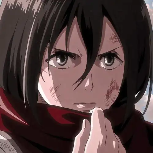 进击的巨人【三笠 阿克曼】头像精选_网络