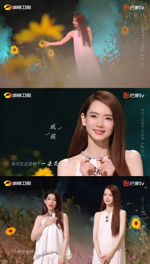 戚薇蔡文静何洁陈昊宇种花mv##花儿绽放