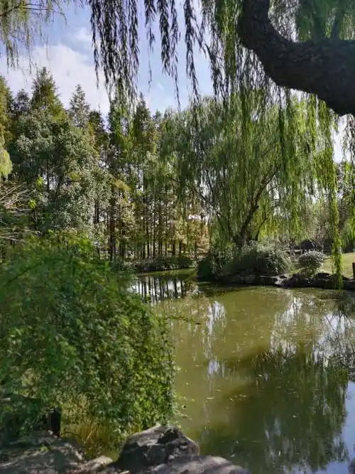 随手拍(一四三)泗泾老街在翻新 泗泾公园风景好