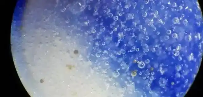 怎样通过死亡气泡来断定瓷器的年代