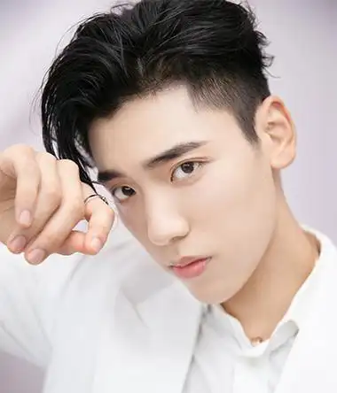 王子异 | 大陆男星 | 明星档案 | 华视文化